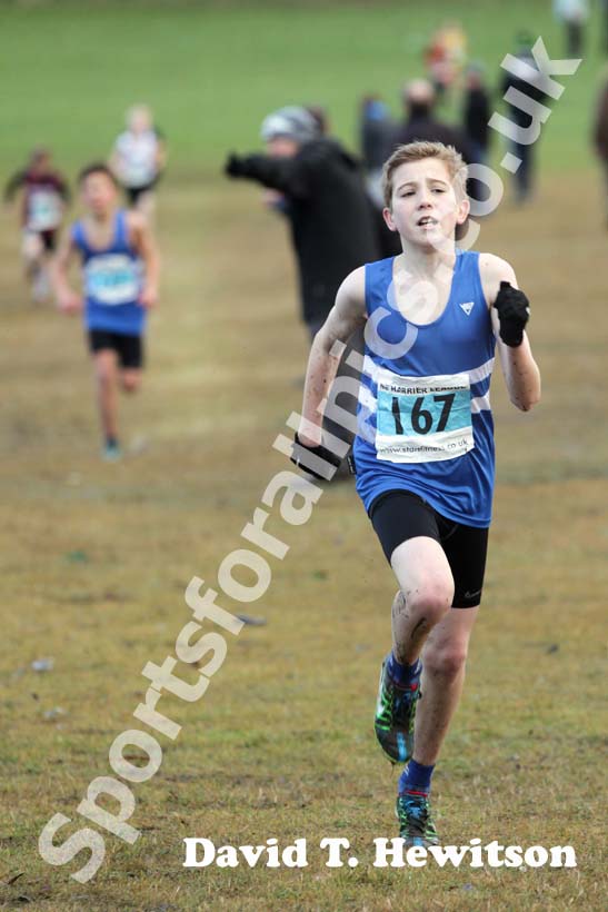 Blue 167 Start First North East Harrier League,  Jarrow.